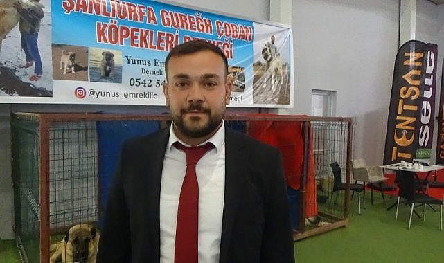 Gureğh köpekleri fuarın gözdesi oldu (Video)