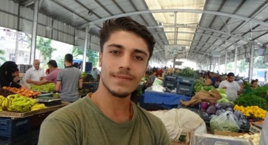 Ne zaman ki kaplumbağa kendi isteğiyle ağaca çıkarsa o zaman fiyatlar düşer