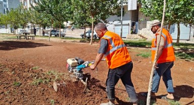 Eyyübiye Parklarında Sonbahar Çalışması (video)