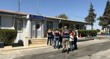 Şanlıurfa'da bahçelerden fıstık hırsızlığı yapan çete çökertildi (video)