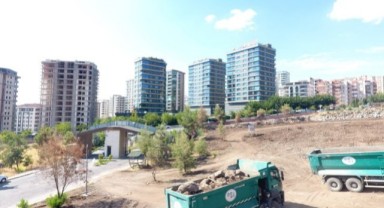 Şanlıurfa'da Yanan Alanları Yeniden Yeşillendiriliyor