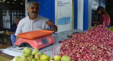 Şanlıurfa fıstığının özelliği boyut olarak iridir, güzeldir, keten köyneğidir