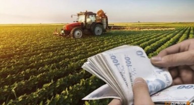 Tarım sektörü 4,52 milyar dolar ihracat yaptı