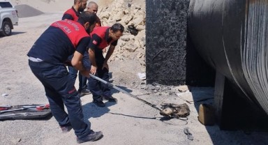 Zift içinde mahsur kalan köpek kurtarıldı