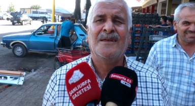 16 liraya düşen isot fiyatı yağmur yağarsa iyice düşer (video)