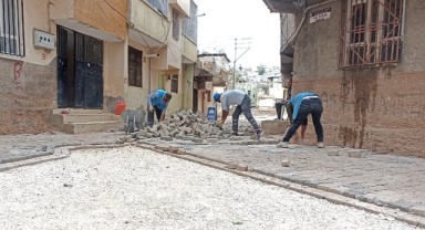 Eyyübiye Mahalleleri Kışa Hazırlanıyor (video)