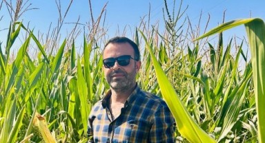 İkinci ürün Mısır fiyatının en az 9.74TL’nin altında olmaması gerekiyor.