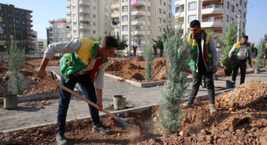 Karaköprü’de yeni parklar ağaçlandırılıyor (video)