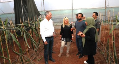 Kuş’tan Sera Kent’i Büyütme Müjdesi (video)