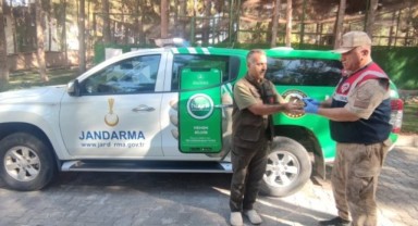 Şanlıurfa'da yaralı bulunan balaban kuşu tedavi altına alındı