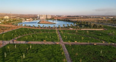 Beyazgül, ‘’gap sukay tıbbi aromatik parkı Şanlıurfa’ya hayırlı olsun’’ (video)
