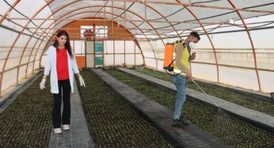 Büyükşehir’den her mevsim için çiçek (video)