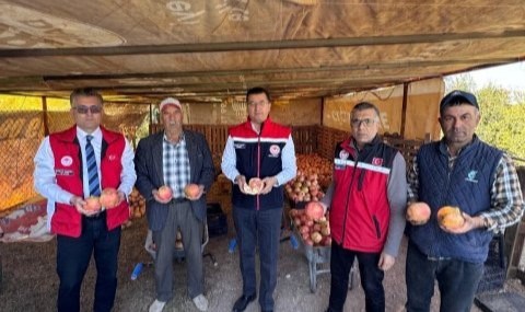 Şanlıurfa 13 bin dekarlık alanda nar üretimi yapılıyor.