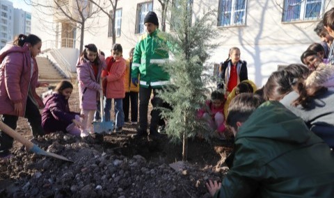 Karaköprü'de okul bahçeleri ağaçlandırılıyor (Video)