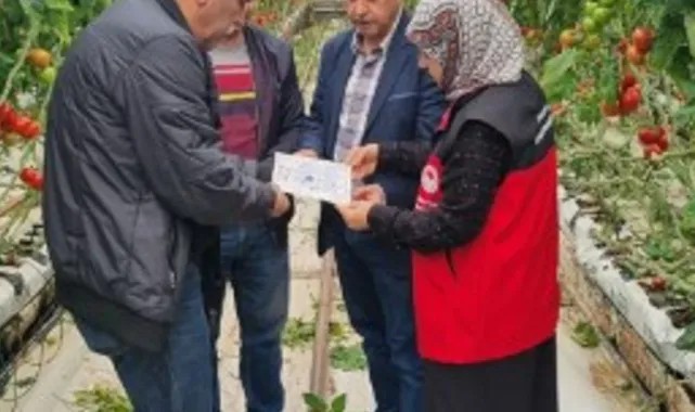 Şanlıurfa Tarım ve Orman İl Müdürlüğü, Karaali Mahallesindeki Seralarda İncelemelerde Bulundu
