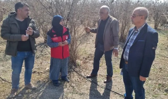 Şanlıurfa Tarım ve Orman İl Müdürlüğü, Nar Üreticilerine Yönelik Pestisit Kullanımı Eğitimi Düzenledi