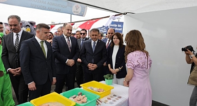 TÜBİTAK 4007 Bilim Şenliği Şanlıurfa’da Kapılarını Açtı