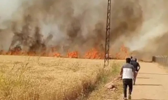 Elektrik Kıvılcımıyla 40 Dönüm Tarlada Yangın!