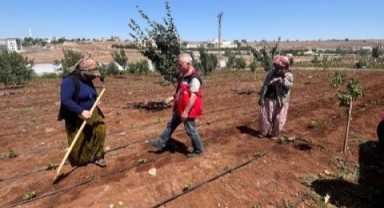 Şanlıurfa’da tarımda kadın üreticiler çapalama yaparken ziyaret edildi