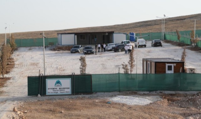 Eyyübiye’den Sokak Hayvanlarına Sağlıklı ve Güvenli Yaşam Alanı