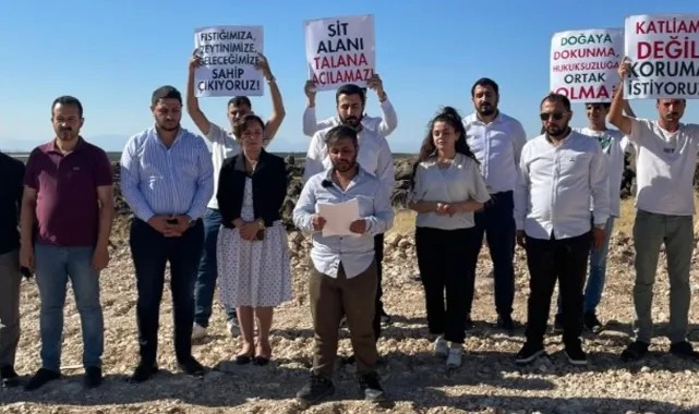 Korumaya Alınan Bölgede Ağaç Katliamı! Karaköprü'de Ne Oluyor?