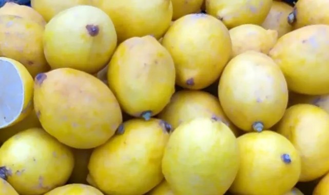 Limon Ateş Pahası! Pazarda Tartışma, Tezgâhta Şok Fiyat