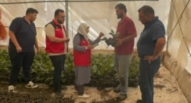 Şanlıurfa’da Süs Bitkilerine Ziraat Mühendislerinden Yakın Takip