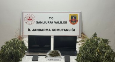 Akçakale’de Şanlıurfa Jandarması Uyuşturucuya Darbe Vurdu