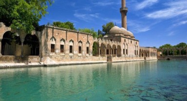 Balıklıgöl’de Tartışma Alevlendi: “Odun Kömürü Balıkların Önüne Geçti