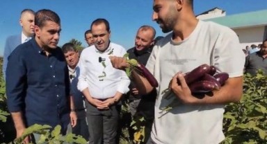 Şanlıurfa Birecik’te fıstık ve patlıcan festivali heyecanı