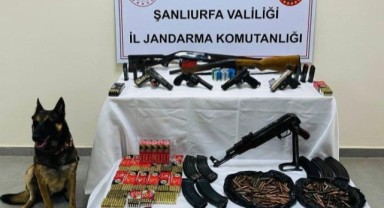 Şanlıurfa Bozova’da Jandarmadan Büyük Silah Operasyonu! Neler Ele Geçti!