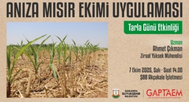 Şanlıurfa’da Bakteri Aşılı Soya ve Anıza Mısır Projesi Başladı!