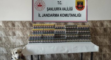 Şanlıurfa Viranşehir’de Sigara Kaçakçılığına Darbe
