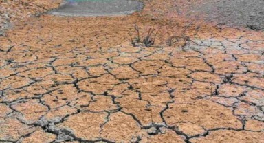 Tarımda Kırmızı Alarm: GAP Bölgesi Susuzlukla Karşı Karşıya