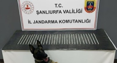 Şanlıurfa’da Uyuşturucuya Karşı Sıkı Denetim!