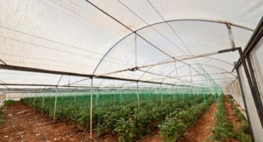 Şanlıurfa Eyyübiye’de Sera Kent’te Binlerce Çiçek ve Sebze Toprakla Buluşuyor!