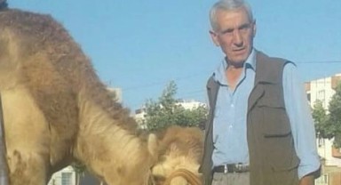 Şanlıurfalı Zülfü Arpacık’tan Doğadan Sofraya Şifa: Deve Sütü!