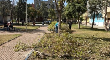 Şanlurfa Eyyübiye Belediyesi Parkları Baştan Sona Yeniliyor!