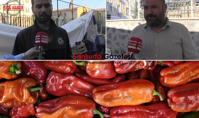 Şanlıurfa’da Pazarın Nabzı: Biber Fiyatları Cep Yakıyor mu?