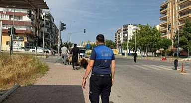 Haliliye’de Kurban Bayramı Denetimleri Aralıksız Sürüyor