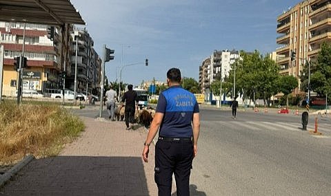 Haliliye’de Kurban Bayramı Denetimleri Aralıksız Sürüyor