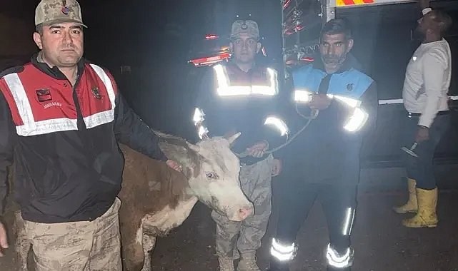 Şanlıurfa’da Kamera Kayıtları Gerçeği Ortaya Çıkardı