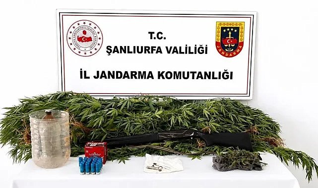 Şanlıurfa’da Uyuşturucuya Darbe! 102 Gram Esrar Ve 15 Kök Kenevir Yakalandı