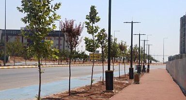 Şanlıurfa Karaköprü’de Bisiklet Yolu Projesi Tamamlanıyor