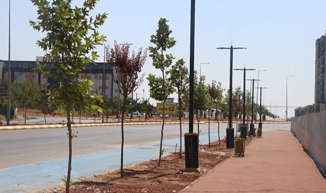 Şanlıurfa Karaköprü’de Bisiklet Yolu Projesi Tamamlanıyor