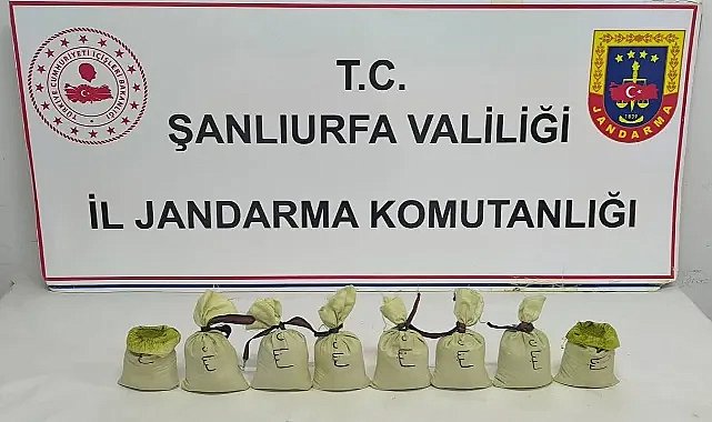 Şanlıurfa Suruç’ta Jandarmadan Uyuşturucu Operasyonu